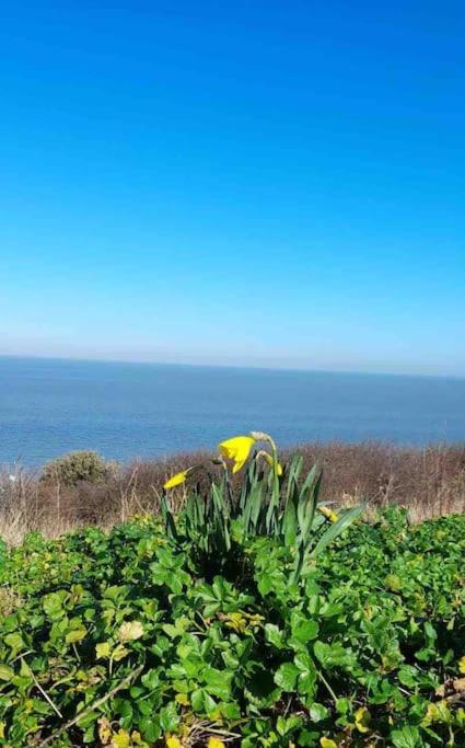 Herne Bay Central - 2 Minutes From Beach Apartment Dış mekan fotoğraf