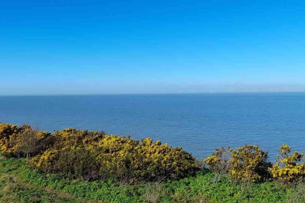 Herne Bay Central - 2 Minutes From Beach Apartment Dış mekan fotoğraf